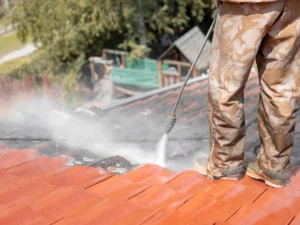 Ravalement de Facade - Nettoyage de Toiture - Collectif - Artisans (6)