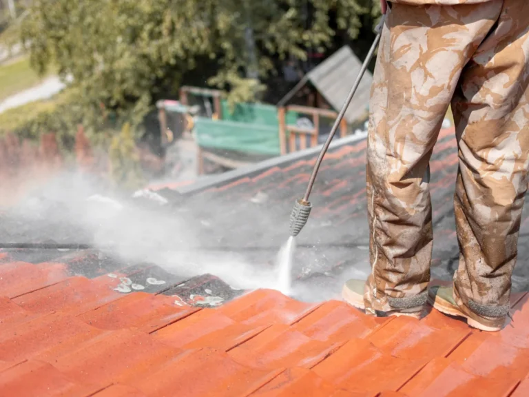 Ravalement de Facade - Nettoyage de Toiture - Collectif - Artisans (6)