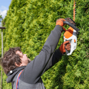 Entreprise Elagage et Abattage dArbres (2)