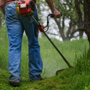 Entreprise Elagage et Abattage dArbres (4)
