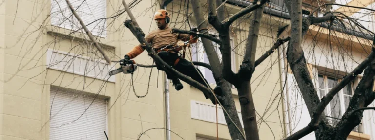 Élagueur professionnel en action coupant une branche en toute sécurité.
