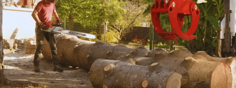 Découpe d’un tronc d’arbre à Saint-Étienne