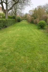 élagage, dessouchage et entretien global, la photo illustre bien un grand espace entretenu - Elagage Besançon