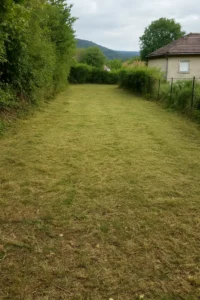 terrain fraîchement nettoyé, débroussaillage par Elagage Besançon
