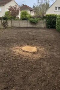 dessouchage de souches à Bois-Colombes par Elagage Nanterre