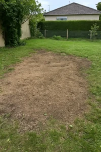 Dessouchage complet d’un arbre en jardin privé - Elagage Reims