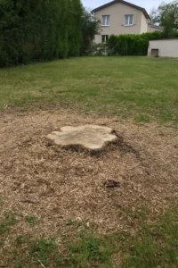 Souche aplatie dans un terrain à Roche-la-Molière