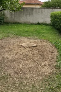 Dessouchage complet à Villeurbanne – Terrain nettoyé et prêt à l’aménagement