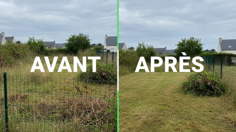 Débroussaillage - Avant Après - Elagage Lorient