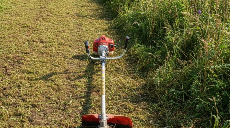 Débroussaillage préventif (travail à moitié fait, fil visible) (sans artisan)