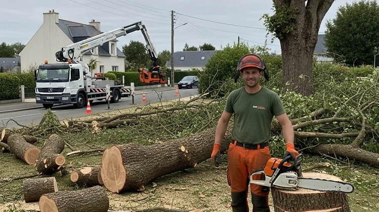 NOS REALISATIONS SÉCURISATION POST-TEMPÊTE – Abattage et élagage urgence - Elagage Vendée_1200x900
