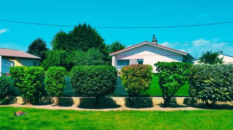 Taille de haies impeccablement réalisée dans une résidence du Grand-Est