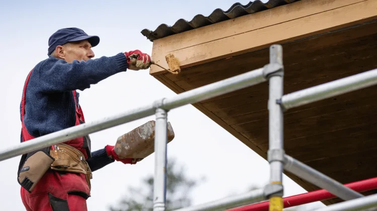 Ravalement de Facade - Nettoyage de Toiture - Collectif - Artisans (7)