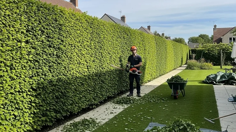 Taille de haies - Elagage Chartres_1200x900